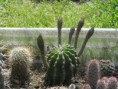 /album/rok-2010/p1010009-jpg/