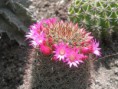 /album/rok-2010/p1010011-jpg/